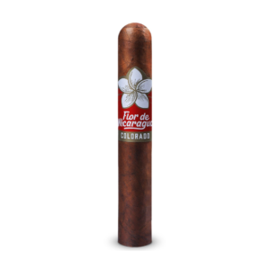 Joya Flor De Nicaragua Robusto- Single Cigar