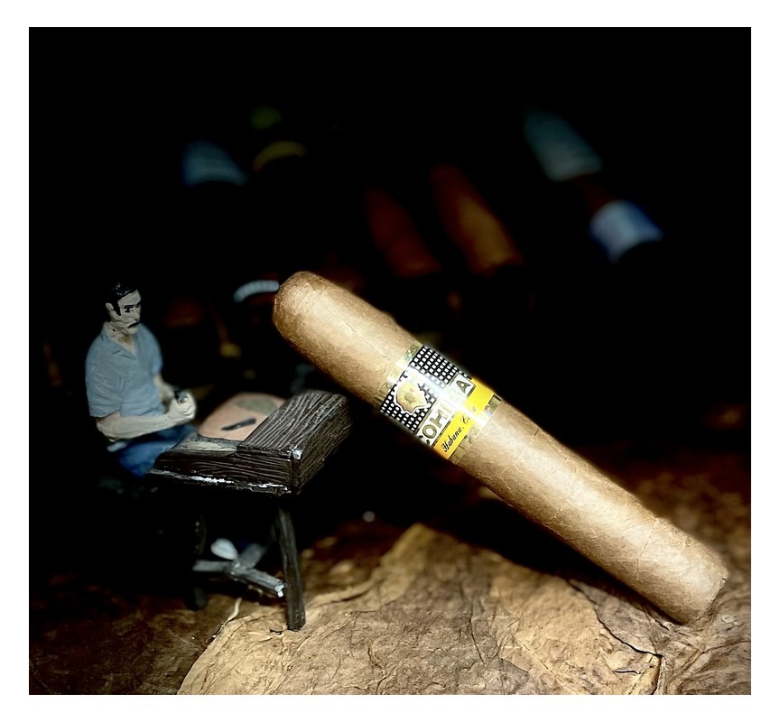 Cohiba Robustos- Cabinet of 25 Cigars - Image 3