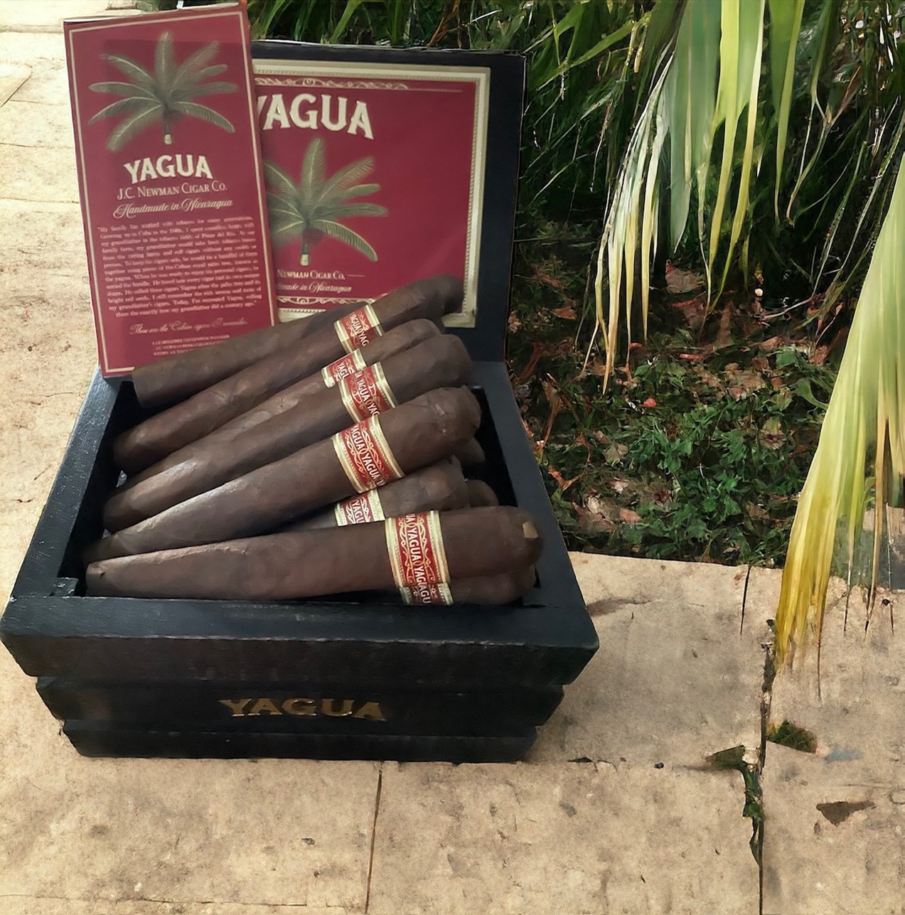 JC Newman's Yagua Cigar- Single - Image 2