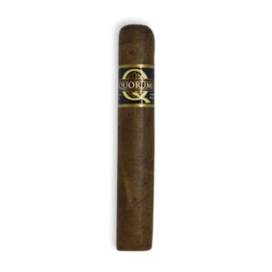 Quorum Classic Robusto - Single Cigar