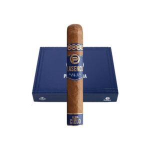 Plasencia Alma del Cielo Robusto - Single Cigar
