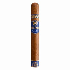 Plasencia Alma del Cielo Toro - Single Cigar